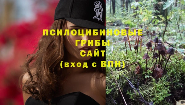 стаф Приозерск