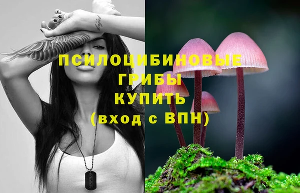 амф Пролетарск