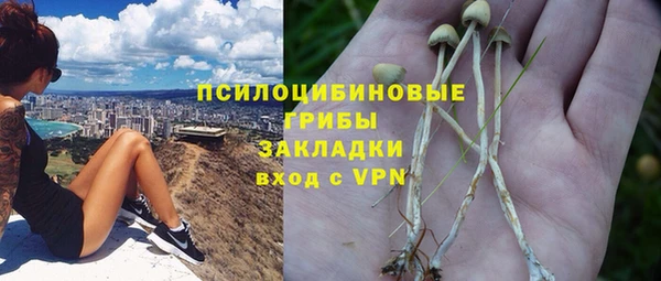 амф Пролетарск