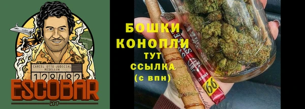 стаф Приозерск