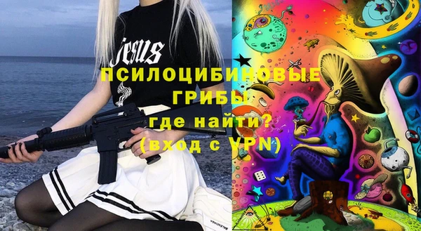 стаф Приозерск