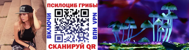 где купить наркоту  Райчихинск  Галлюциногенные грибы мицелий 